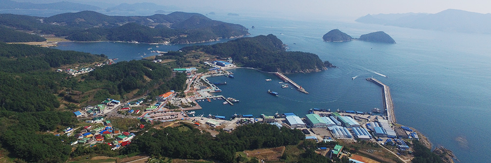 자란만 어촌체험마을