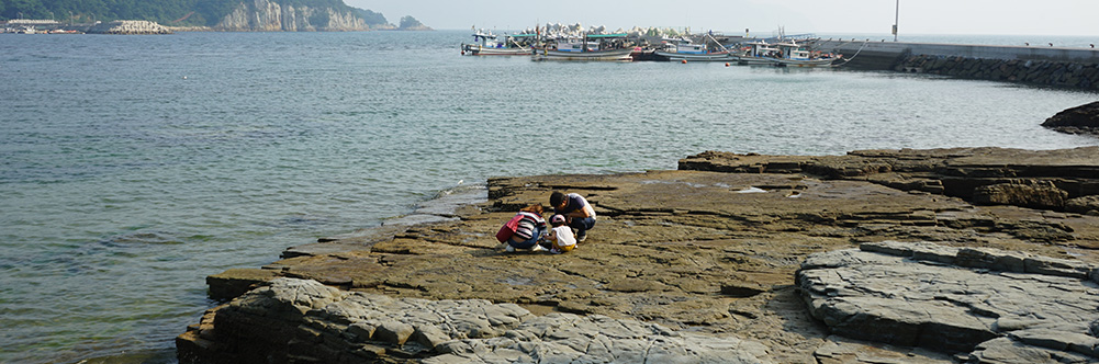 상족암군립공원